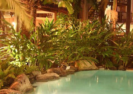 Hibiscus Gardens Spa Resort - Coogee Beach Accommodation 3