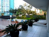 Carlton Apartments - Coogee Beach Accommodation 2