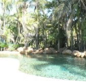Bushland Beach Tavern - Coogee Beach Accommodation