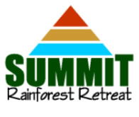 The Summit Rainforest Retreat - Coogee Beach Accommodation 2