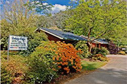 Delany Lodge - Coogee Beach Accommodation 1