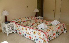 Shaws On The Shore - Coogee Beach Accommodation 3