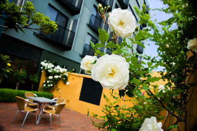 The Old Woolstore Apartment Hotel - Coogee Beach Accommodation 5