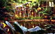 Daintree Eco Lodge And Spa - thumb 3