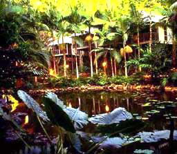 Daintree Eco Lodge And Spa - Coogee Beach Accommodation 3