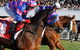 Quest Ascot - thumb 4
