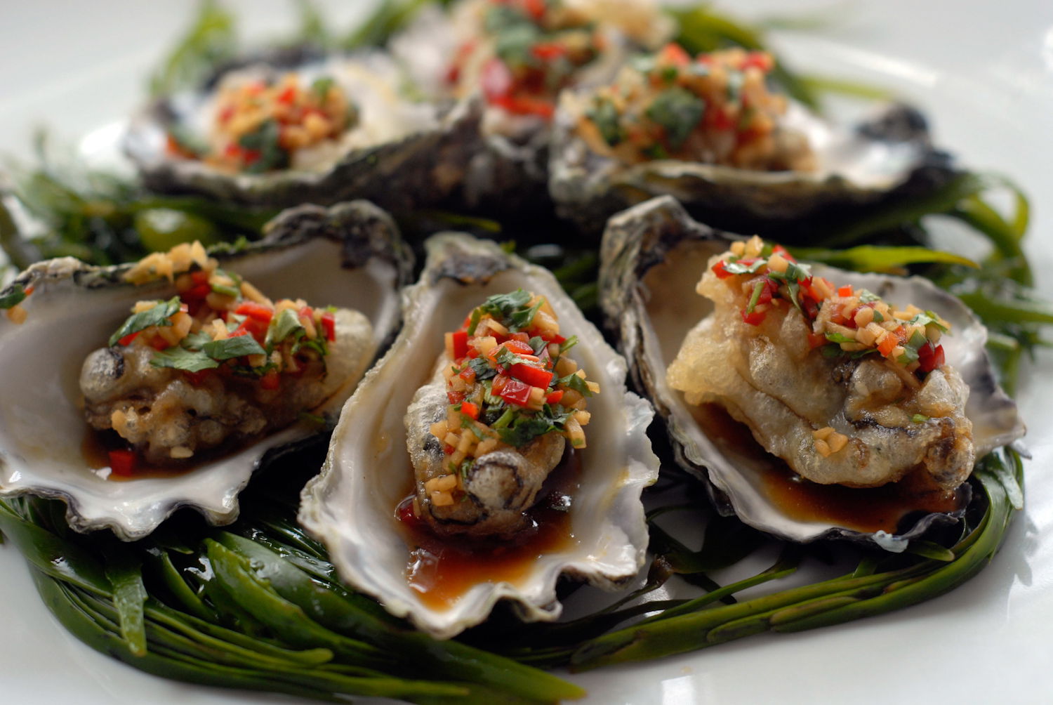 Mollymook NSW Coogee Beach Accommodation