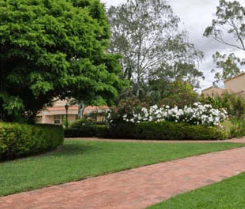 Barossa Weintal Hotel Motel - thumb 2