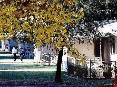 Lake Hume Resort - Coogee Beach Accommodation 2
