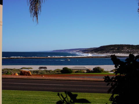 Pelican Shore Villas - Coogee Beach Accommodation 3