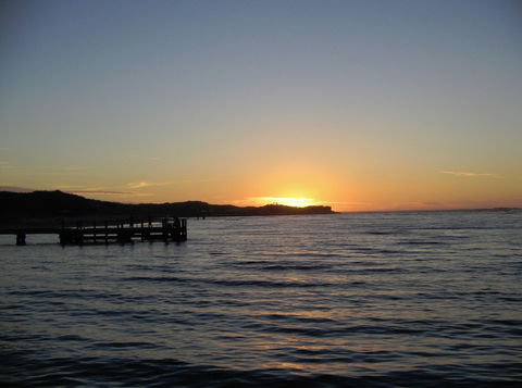 Pelican Shore Villas - Coogee Beach Accommodation 4