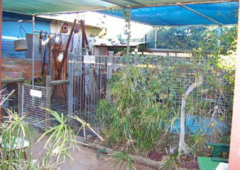 Safari Lodge Motel - Coogee Beach Accommodation 1