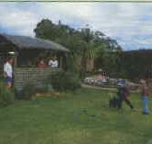 Tambo Lodge - Coogee Beach Accommodation