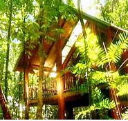 The Canopy Treehouses - Coogee Beach Accommodation