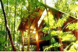 The Canopy Treehouses - Coogee Beach Accommodation 0