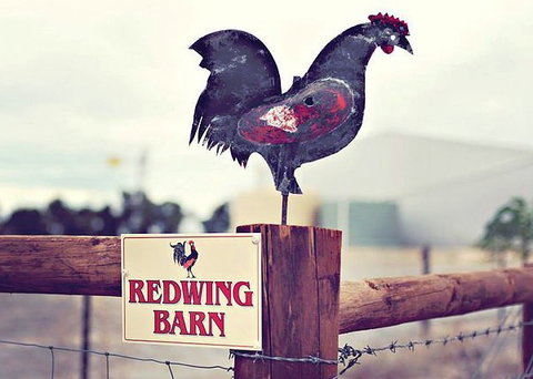 Redwing Farm - The Barn - Coogee Beach Accommodation 0
