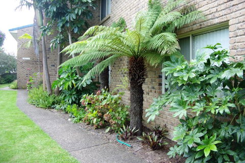 Beachfront Units Merimbula - Coogee Beach Accommodation 3