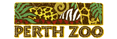Perth Zoo - Coogee Beach Accommodation