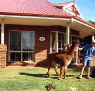Brilea Cottages - Coogee Beach Accommodation