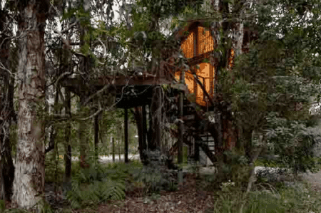 Wanderers Retreat Port Stephens - Coogee Beach Accommodation