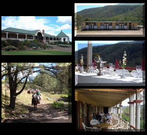 Bestbrook Mountain Resort - Coogee Beach Accommodation 1