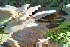 Wynyabbie House - Coogee Beach Accommodation 2