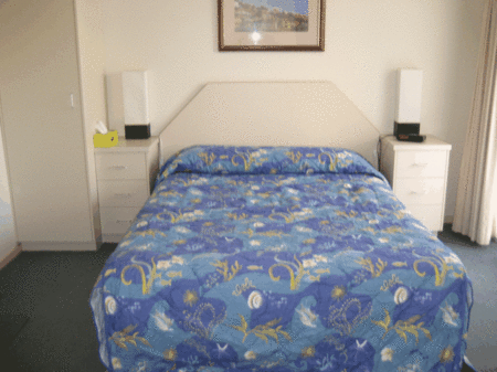St Lucia Gardens - Coogee Beach Accommodation 3