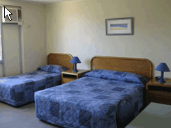 Hamilton Motor Inn - Coogee Beach Accommodation 2
