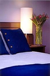 Birches Serviced Apartments - Coogee Beach Accommodation 1