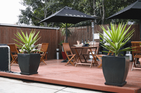 Birches Serviced Apartments - Coogee Beach Accommodation 2