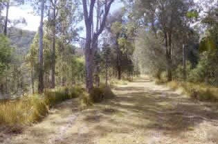 Toms Creek Retreat - Coogee Beach Accommodation 1