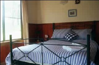 Toms Creek Retreat - Coogee Beach Accommodation 3