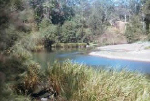 Toms Creek Retreat - Coogee Beach Accommodation 4