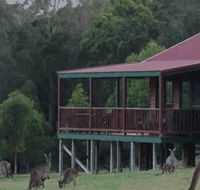 Walpole Wilderness Resort - Coogee Beach Accommodation
