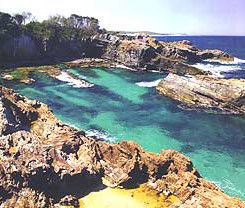 Del Costa Holiday Villas - Coogee Beach Accommodation 3