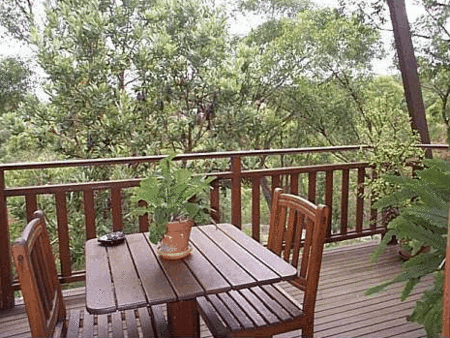 Studio Cottages Romantic Hideaway - Coogee Beach Accommodation 4