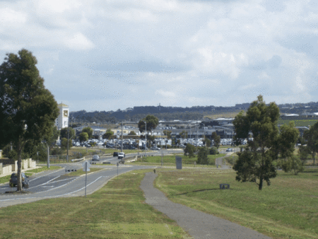 Golden Palms Motel - Coogee Beach Accommodation