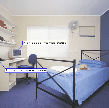Cairns Student Lodge - Coogee Beach Accommodation