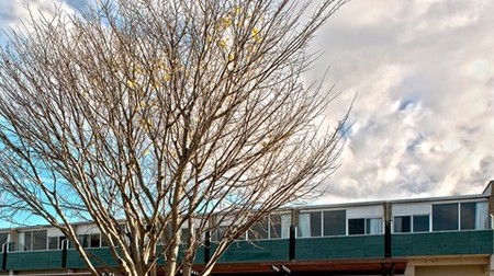 St Helens Bayside Inn - Coogee Beach Accommodation 1