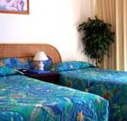 International Beach Resort - Coogee Beach Accommodation