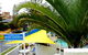 Broadbeach Central Holiday Units - thumb 0