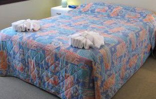 Manly Seaside Holiday Apartments - Coogee Beach Accommodation 1