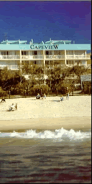 Capeview Apartments By The Sea - Coogee Beach Accommodation 0