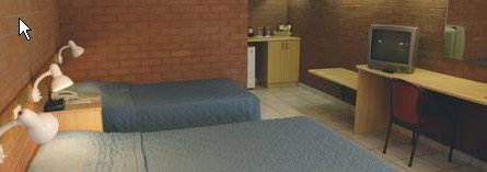 Pine Tree Motel - Coogee Beach Accommodation 0