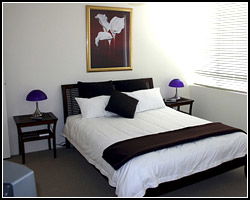 Beaconlea Tower - Coogee Beach Accommodation 2