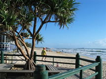 Burlington Holiday Apartments - Coogee Beach Accommodation 5