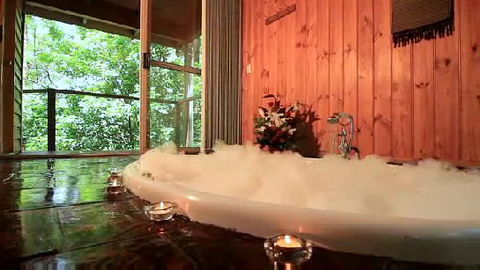 Tree Houses Of Montville - Coogee Beach Accommodation 0