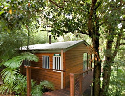 Tree Houses Of Montville - Coogee Beach Accommodation 2