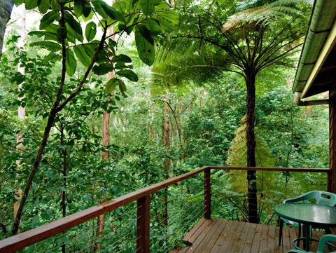 Tree Houses Of Montville - Coogee Beach Accommodation 3