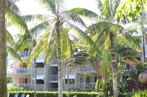 Cairns Beach Resort - Coogee Beach Accommodation 1